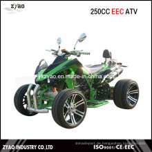 Chinesisch ATV zum Verkauf 250ccm EEC Racing ATV Luxus